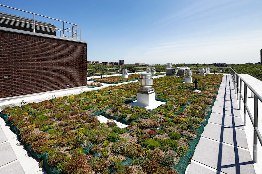 A green roof on top of a building.