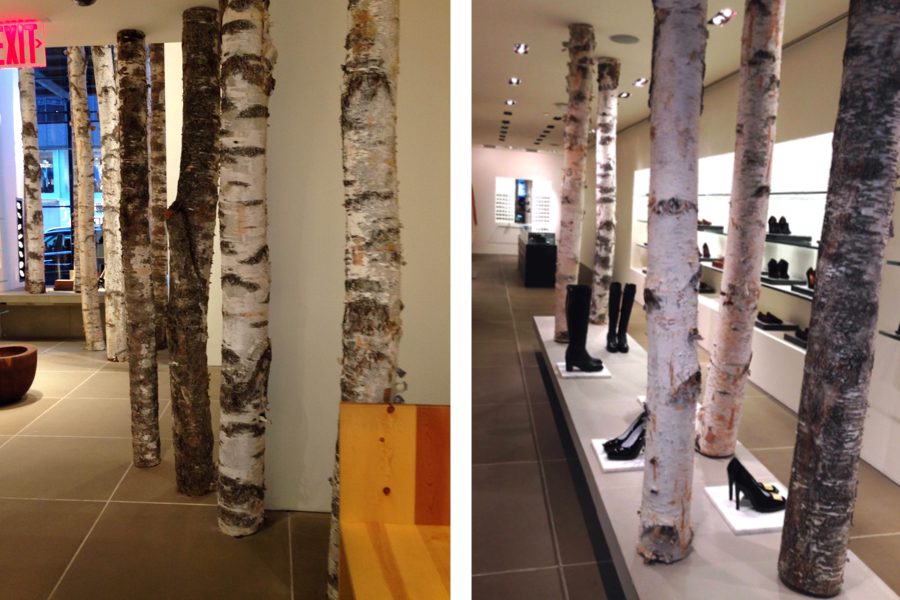 Two pictures of birch trees in a store.