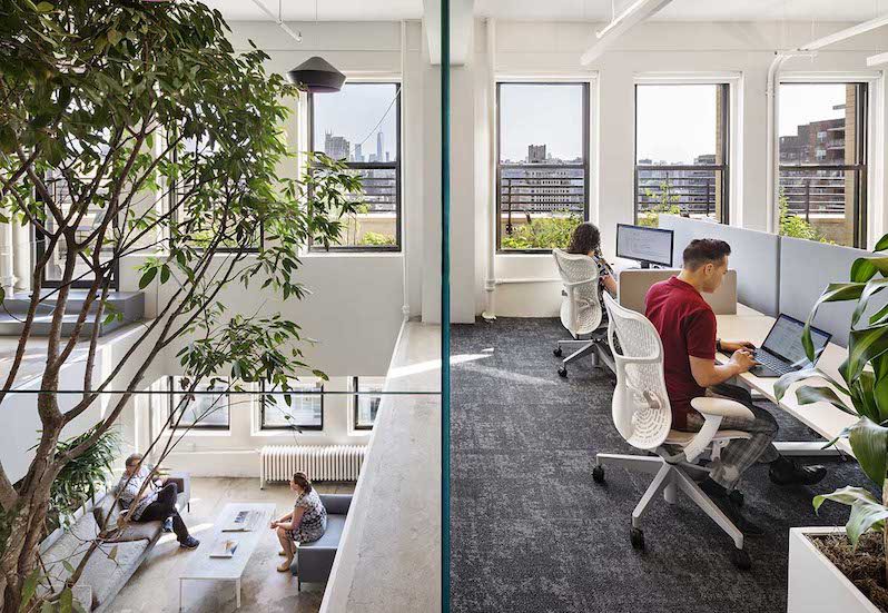 Two people working at desks in an office with plants.