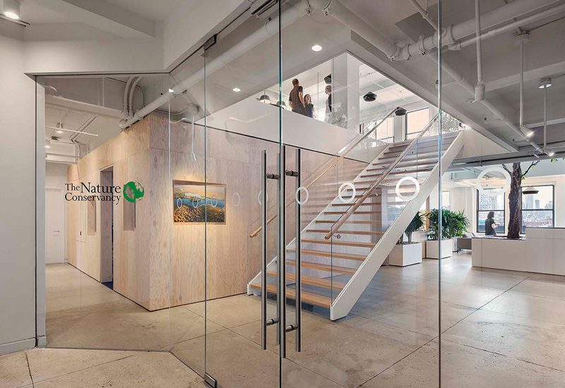 A glass office with stairs leading up to a tree.