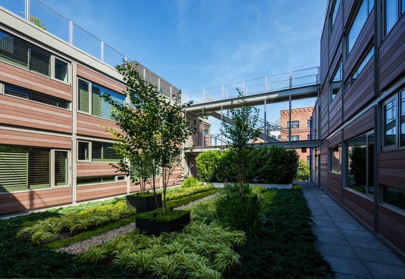A courtyard with plants and trees in the middle of a building.