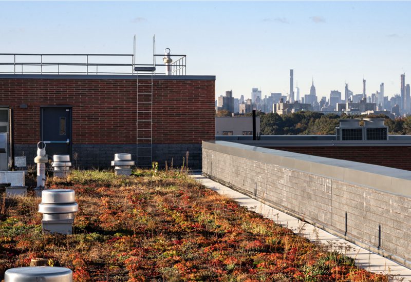A green roof on top of a brick building.