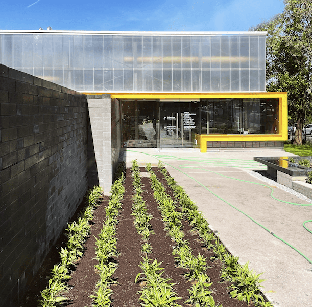 A building with a yellow wall and plants in front of it.