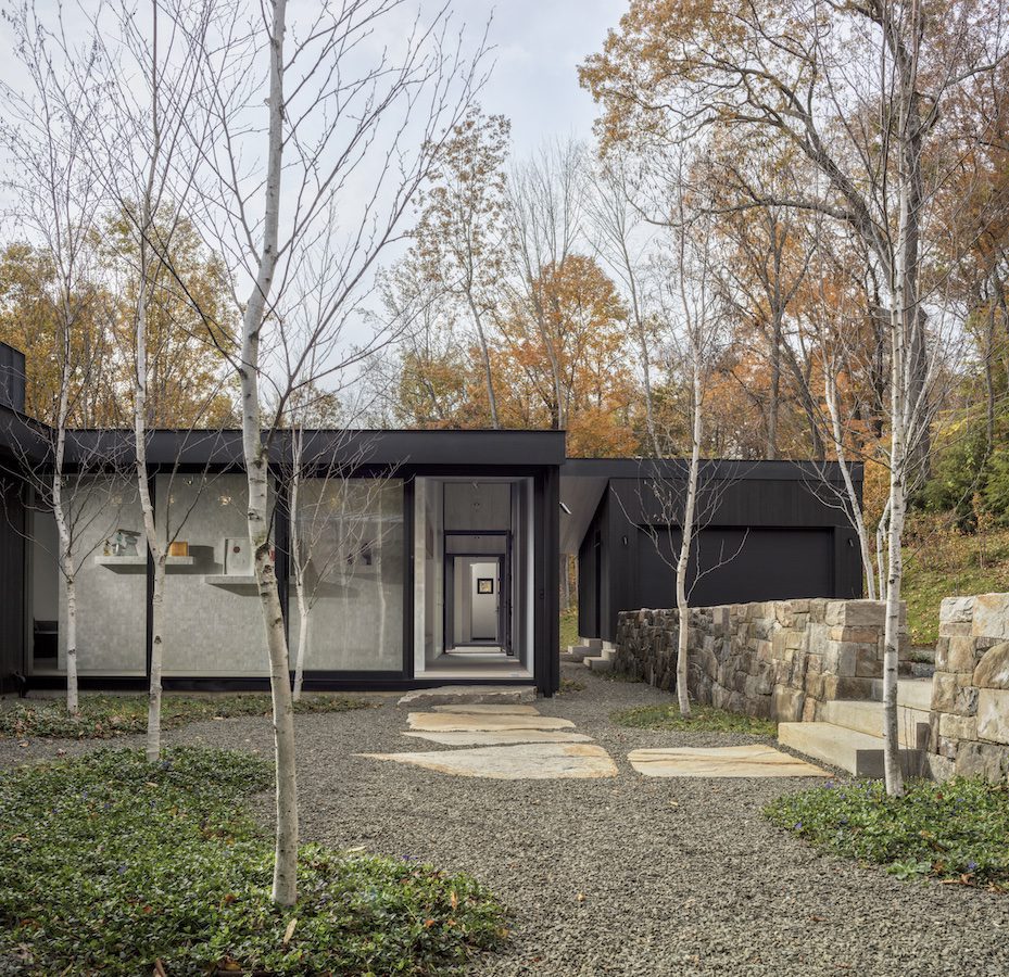 A modern house in the woods with a stone walkway.